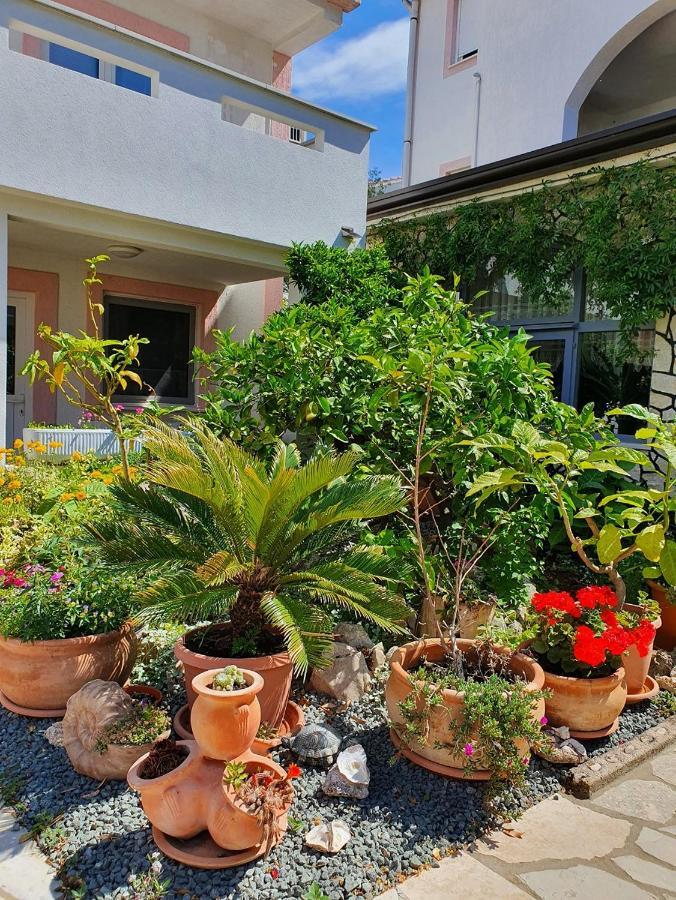 Apartmani Kurjakovic - 普纳特 外观 照片
